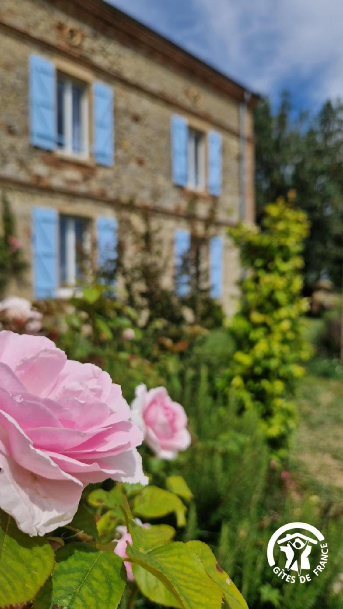 Aux Roses De Cedres Chambre Savane Salvagnac Buitenkant foto