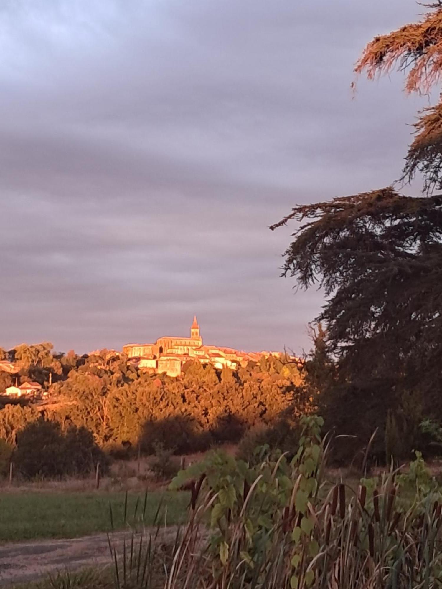 Aux Roses De Cedres Chambre Savane Salvagnac Buitenkant foto